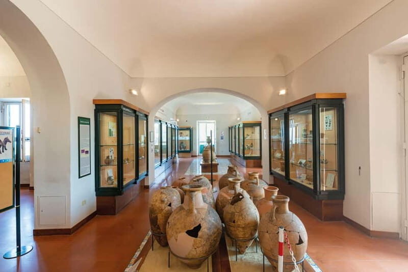 Ischia: Archaeological Museum of Pithecusae Ticket - Who Should Consider This Tour?