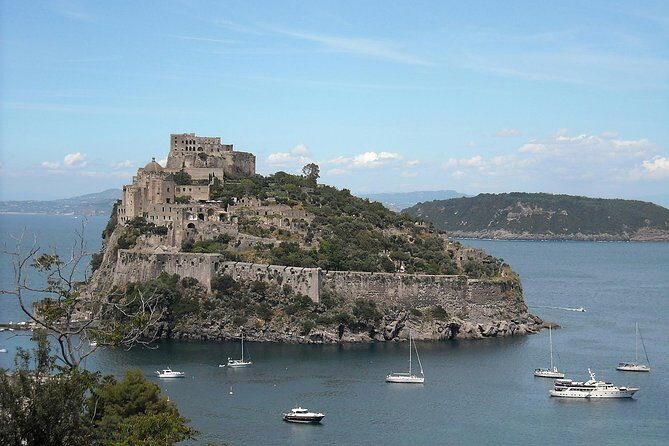 Ischia Food Tastings & Sightseeing: Private Day Trip from Naples Port - Who Would Love This Tour?