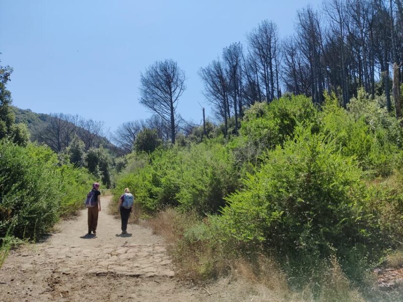 Ischia: Volcano hike - Key Points