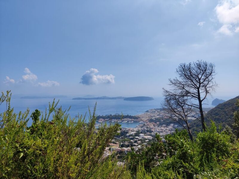 Ischia: Volcano hike - An Honest Breakdown of the Rotaro Volcano Hike