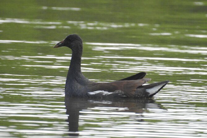 Isla Blanca wildlife expedition private bike & boat tour cancun mexico - Transportation and Timing