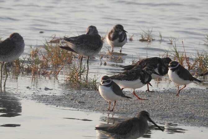 Isla Blanca wildlife expedition private bike & boat tour cancun mexico - Real Traveler Insights