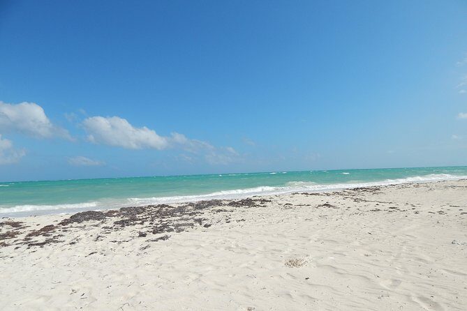 Isla Blanca wildlife expedition private bike & boat tour cancun mexico - FAQ