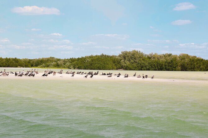 Isla Columpios and Progreso Day Trip - Who Should Consider This Tour?