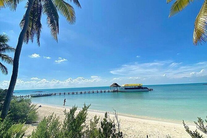 Isla Contoy Adventure Tour & Isla Mujeres from Playa del Carmen - What to Expect from the Tour