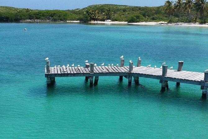 Isla Contoy and Isla Mujeres Tour with Snorkeling from Cancun - Lunch on Contoy