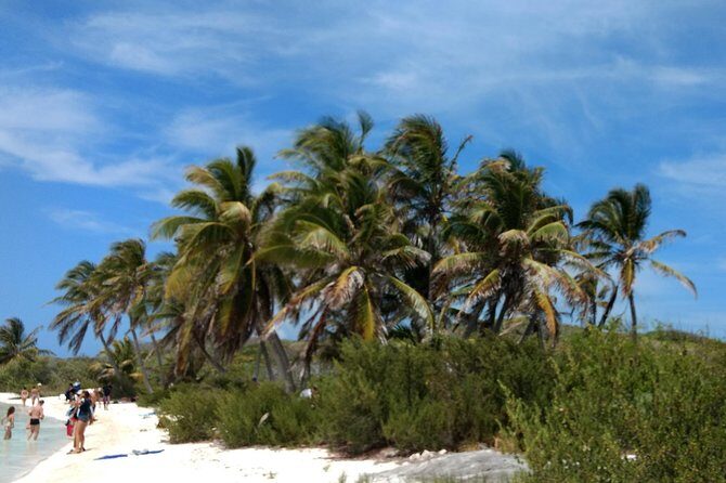 Isla Contoy and Isla Mujeres Tour with Snorkeling from Cancun - Return and Reflection