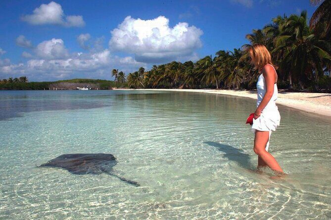 Isla Contoy Hidden Beauty! With Round Transportation From Cancun & Riviera Maya - Who Should Consider This Tour?