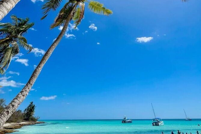 Isla Contoy & Isla Mujeres All inclusive with Buffet & open Bar - The Sum Up