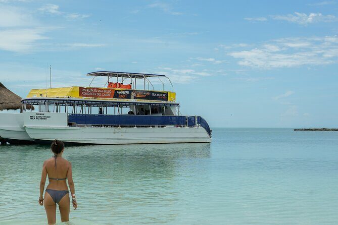 Isla Contoy Snorkeling Experience with Buffet - Key Points