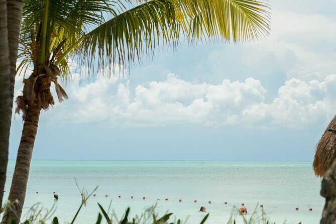 Isla Contoy Snorkeling Experience with Buffet - What’s the Tour All About?