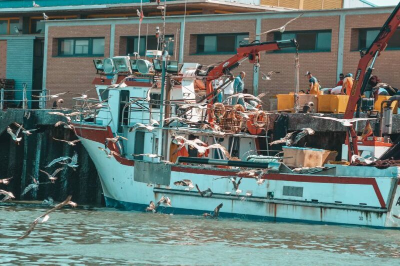 Isla Cristina/Isla Canela: Boat Trip Through the Marshes - The Itinerary: What to Expect