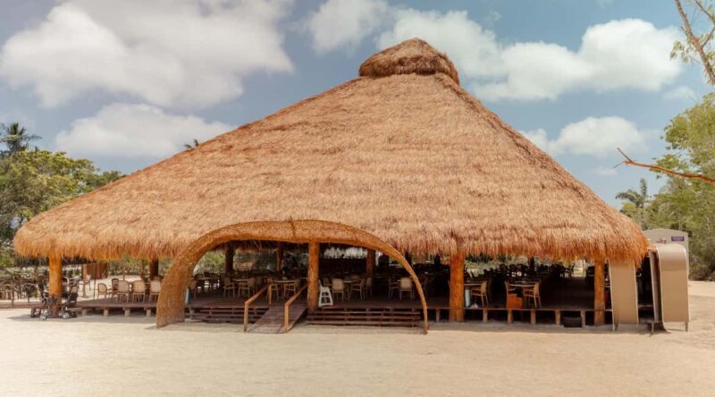 Isla Mia Roots with Tranfer - Key Points