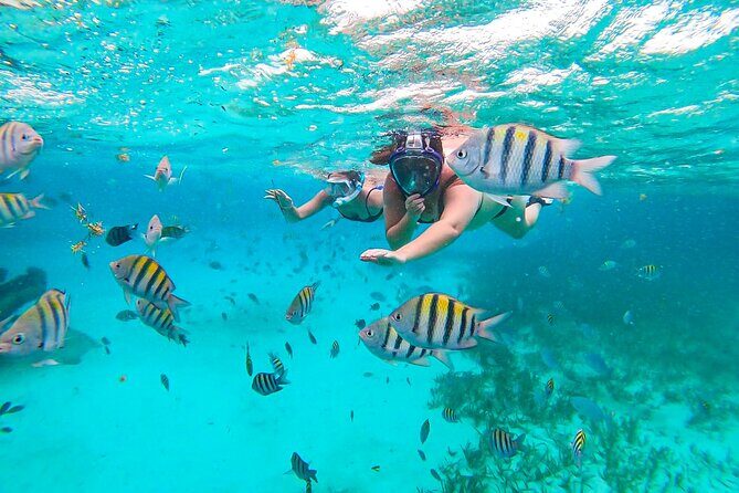 Isla Mujeres and Cancun Snorkeling and Fishing Combo - The Value and Pricing