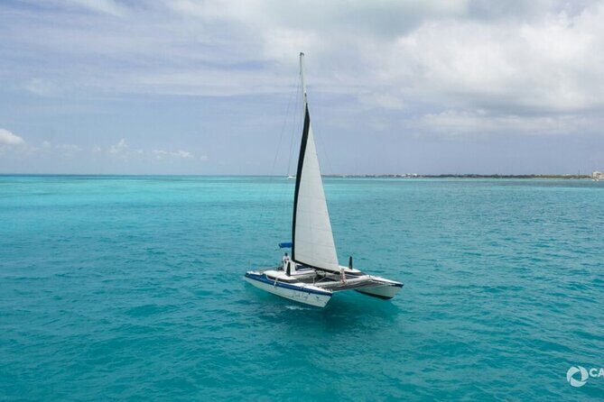 Isla Mujeres Basic Catamaran Tour with Snorkeling and Open Bar - The Experience Itself: What You Can Expect