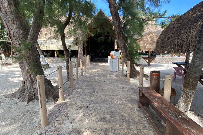 Isla Mujeres Basic Catamaran Tour with Snorkeling and Open Bar - Final Thoughts: Who Should Consider This Tour?