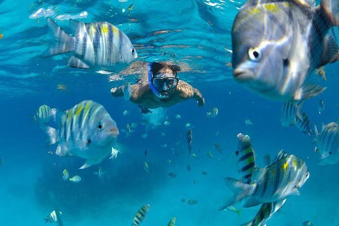 Isla Mujeres Catamaran Adventure All Inclusive from Cancun - Setting Off on Your Catamaran Adventure