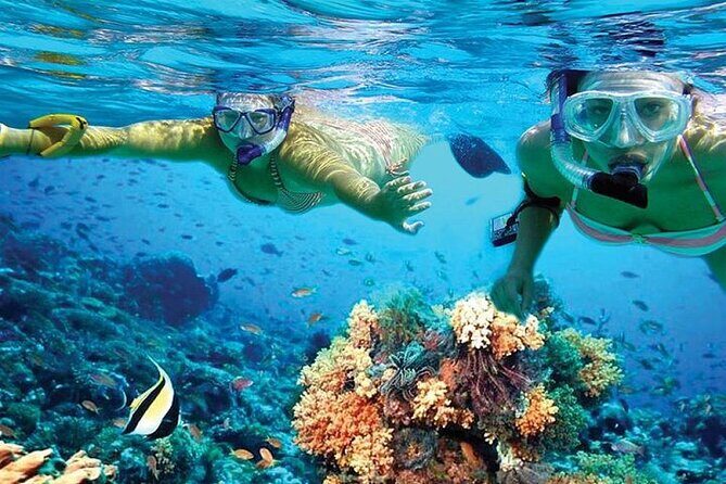 Isla Mujeres Catamaran, Open Bar & Optional Buffet and pick up - Who Is This Tour Best For?