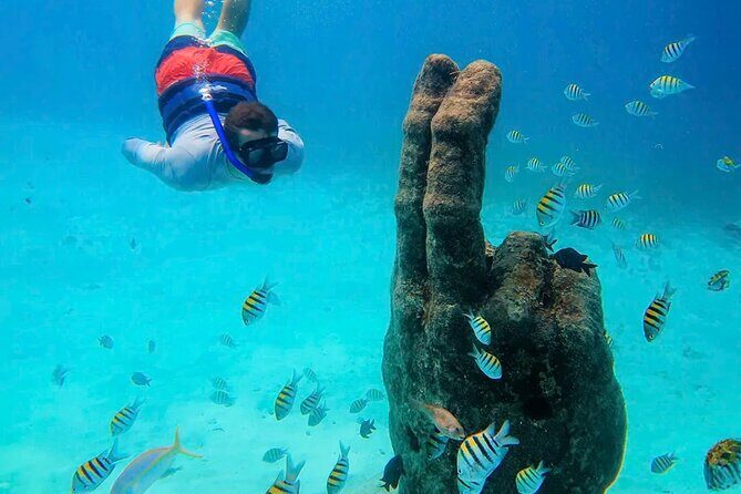 Isla Mujeres Catamaran Tour - A Closer Look at the Itinerary and What You Can Expect