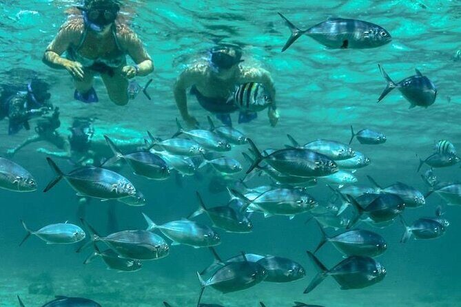 Isla Mujeres Full-Day Catamaran Tour  Buffet, Open Bar & Pickup - The Value and Practicalities