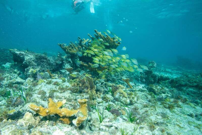 Isla Mujeres: Full Day Private Catamaran with Snorkeling - Key Points