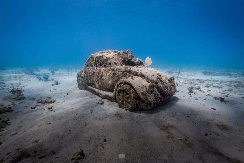 Isla Mujeres: MUSA and the Manchones Reef: 2 Tank Dive Tour - Key Points