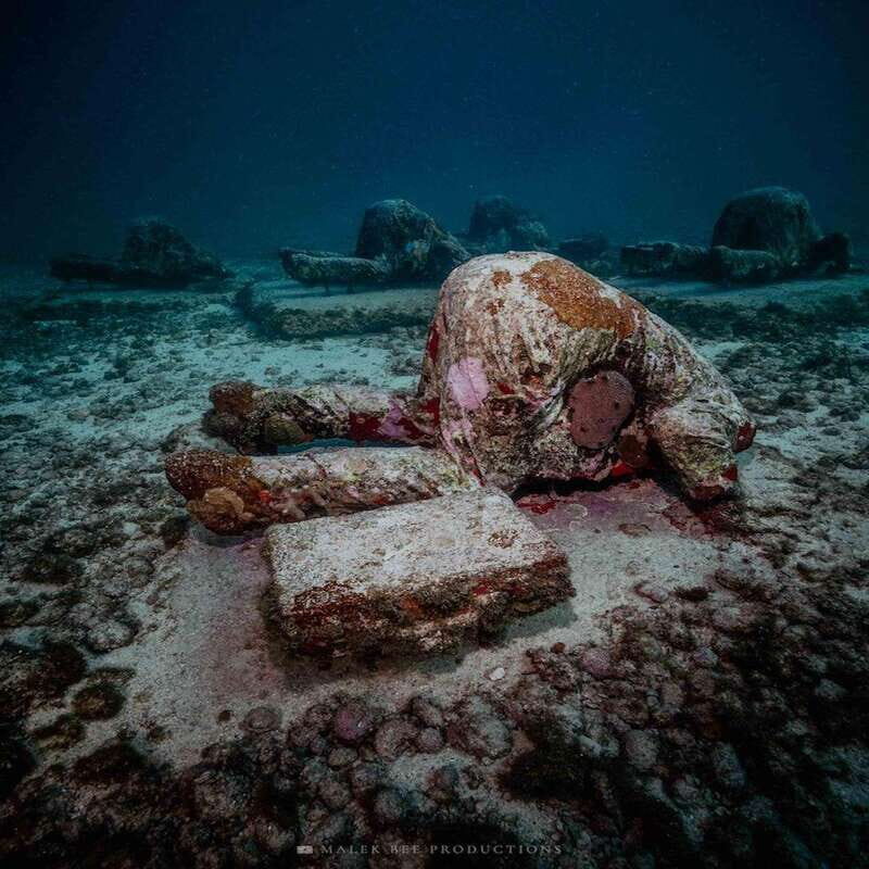 Isla Mujeres: MUSA and the Manchones Reef: 2 Tank Dive Tour - What You’ll Experience on This Tour