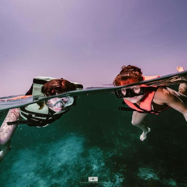 Isla Mujeres - MUSA and the Manchones Reef - Snorkel - Real Travelers’ Insights