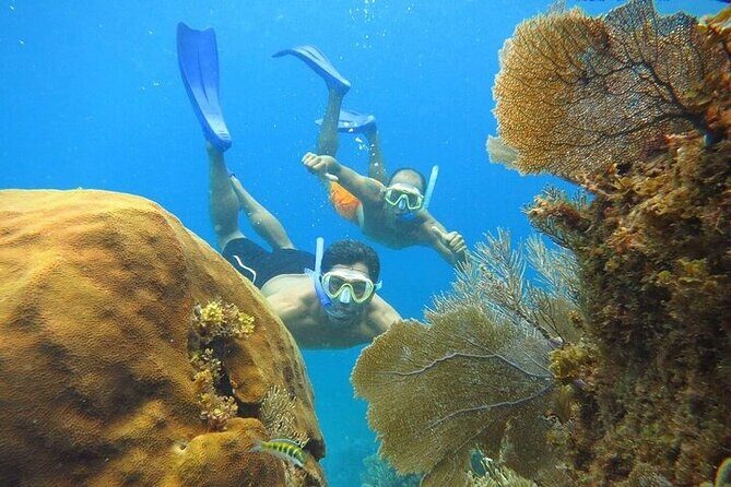 Isla Mujeres party on board! Catamaran,Lagoon,Snorkel & Downtown - Free Exploration Time in Isla Mujeres