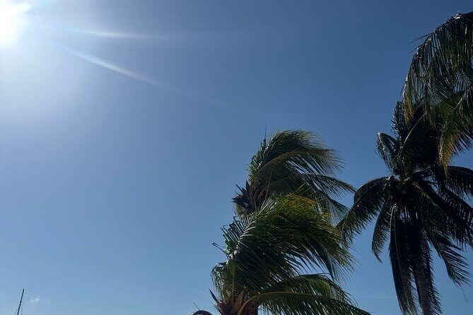 Isla Mujeres Plus Tour with Snorkeling Buffet and Open Bar - FAQ