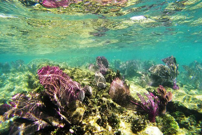 Isla Mujeres Private Dream Getaway - The Experience: What You Can Expect