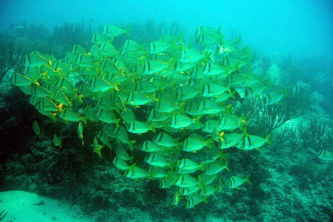 Isla Mujeres Private Dream Getaway - FAQs