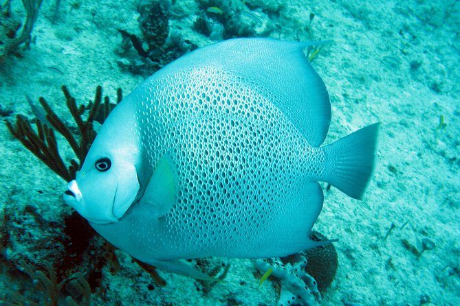 Isla Mujeres Private Dream Getaway - Final Thoughts