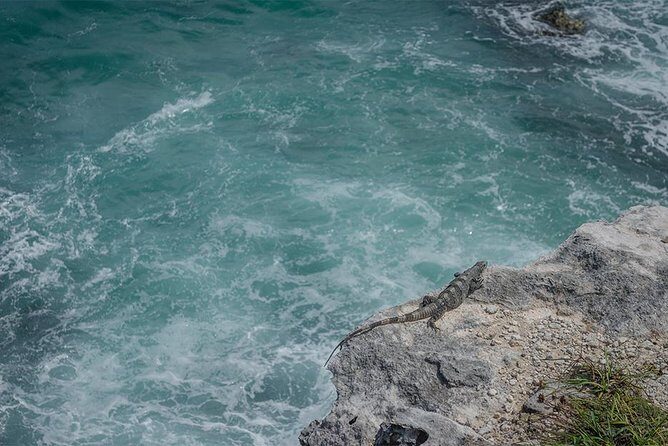 Isla Mujeres Private Excursion - Key Points