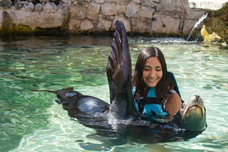 Isla Mujeres: Sea Lion & Manatee Interaction with Buffet - What’s Included & What’s Not
