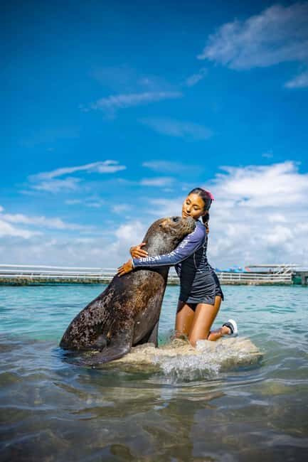 Isla Mujeres: Sea Lion & Manatee Interaction with Buffet - Who This Tour Is Best For