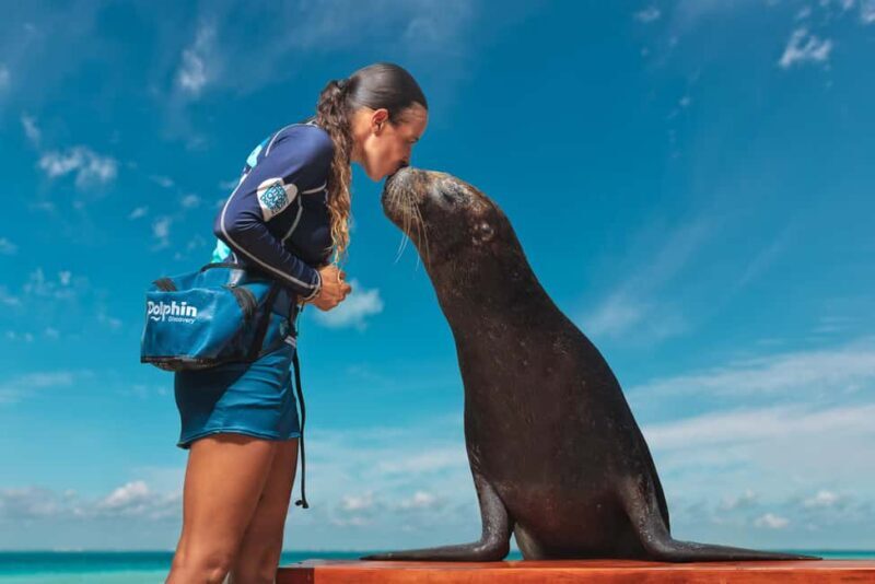 Isla Mujeres: Sea Lion & Manatee Interaction with Buffet - Final Thoughts