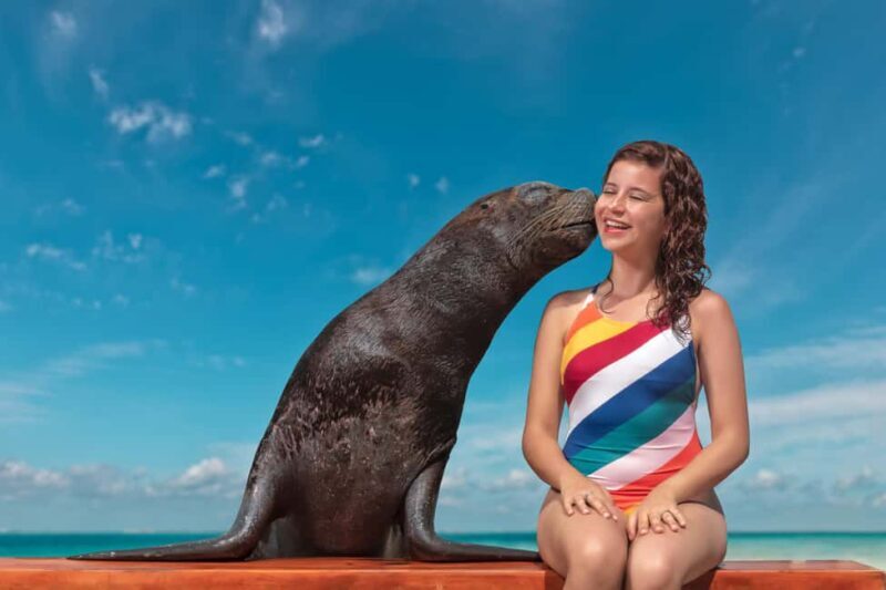 Isla Mujeres: Sea Lion & Manatee Interaction with Buffet - FAQ