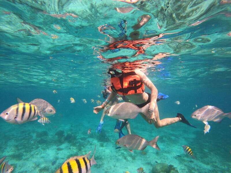 Isla Mujeres: Snorkeling Adventure at the Underwater Museum - Key Points