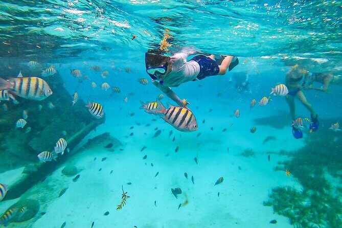 Isla Mujeres Tour, Snorkel and Golf Cart included - The Journey to Isla Mujeres: What to Expect