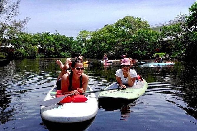 Island City ECO Paddle and Lesson to 9.3 Acre Nature Preserve - Why This Tour Works Well