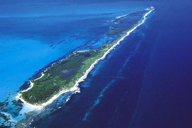 Island Contoy Adventour & Buffete & Isla Mujeres only from Cancun - The Natural Paradise of Isla Contoy