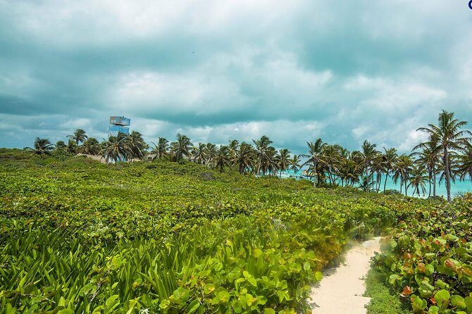 Island Contoy Adventour & Buffete & Isla Mujeres only from Cancun - Time on Isla Mujeres