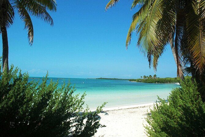 Island Contoy Adventour & Buffete & Isla Mujeres only from Cancun - Price and Value