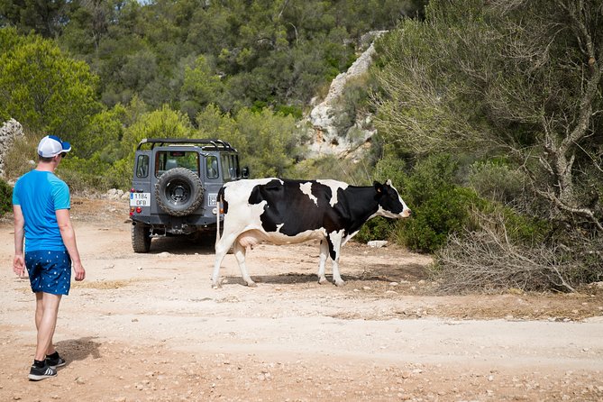 Island Discovery - Off-Road Fun and Weather Reality