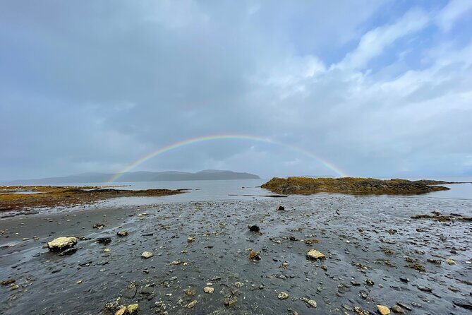 Island Hummer Tour - What Makes This Tour Stand Out?