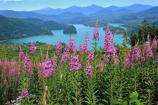 Island Hummer Tour - FAQs