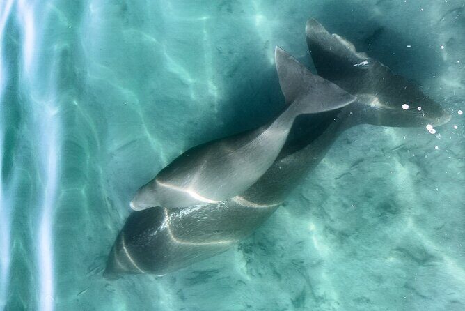 Island Life Adventures | A Day at Dirk - Practical Details and Tips