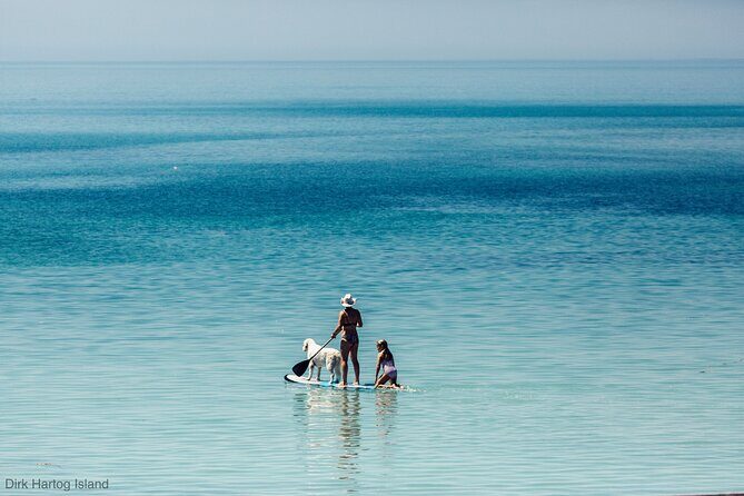 Island Life Adventures | A Day at Dirk - Final Thoughts