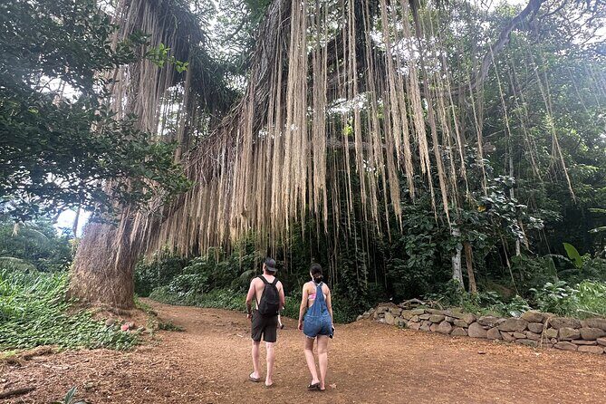 Island of Maui Customized Half Day Tour - FAQ